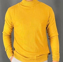Load image into Gallery viewer, Men Long Sleeve Turtle Neck

